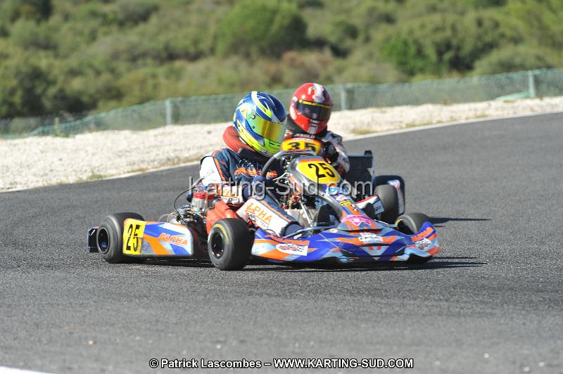 DSC (2687).JPG